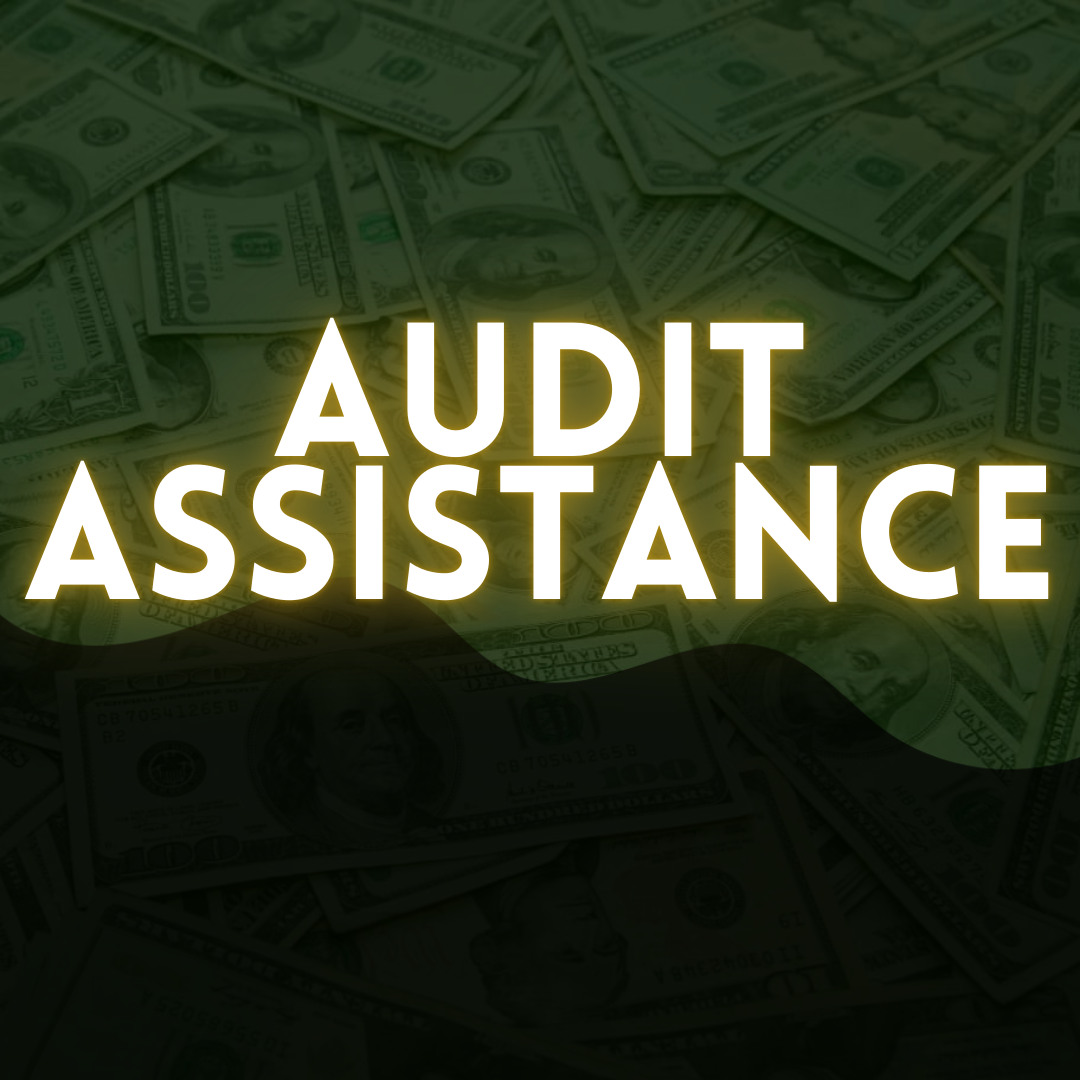 Audit Assistance